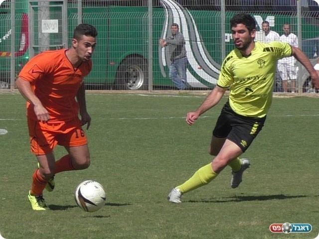 השער הכניס תנופה. פרחי מול הלל (שקד מורג)